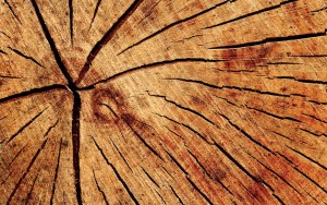 cc18d3b239_88678_vitre-bois (1)